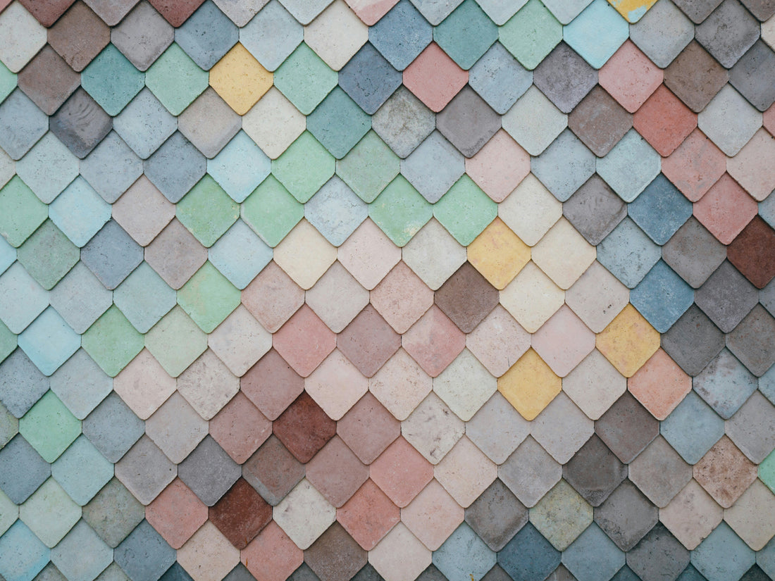 Color Pallete : Photo by Andrew Ridley on Unsplash